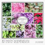 Bloemendeken Backgrounds