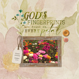 Rooted in Faith 5 Element Pak