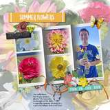 ClusterMania - Summer Bonanza Photo Clusters