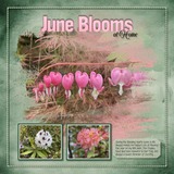 EZ Masks Faded Blends 2