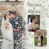 Atelier Art - Climbing Clematis Bundle