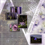 Atelier Art - Climbing Clematis Bundle