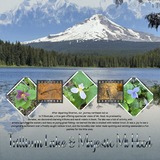 Artistic License Summer Stories