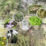 Artistic License Photo Play 3