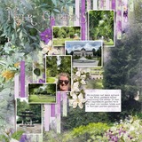 Atelier Art - Climbing Clematis Bundle