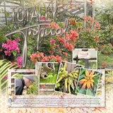 Summer Delights Blended Watercolor Papers