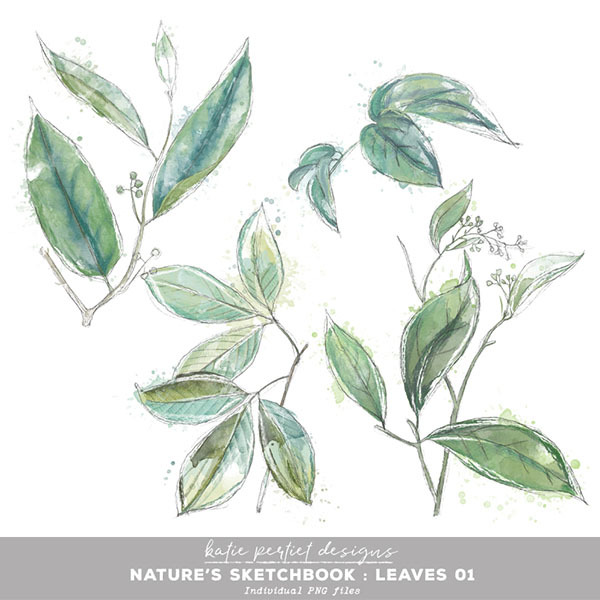 Nature’s Sketchbook Leaves 01 Digital Art - Digital Scrapbooking Kits