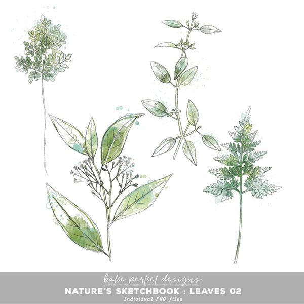 Nature’s Sketchbook Leaves 02 Digital Art - Digital Scrapbooking Kits