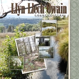 Artistic License Musings - Part 5