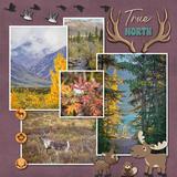 Discover Canada Bundle