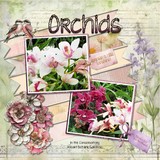 Petal Parade Mini Bundle