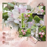 Petal Parade Mini Bundle