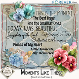 Moments Like These Bundle