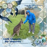 Moments Like These Bundle