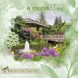 Moments Like These Bundle