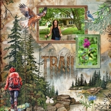 Camping Watercolor Elements 2