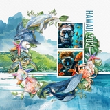 Hawaii Watercolor Bundle