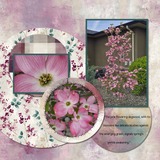 Brush & Bloom Bundle