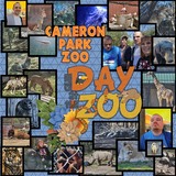 Everyday Enhanced Border Photo Clusters