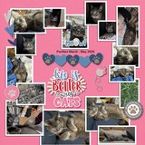 Everyday Enhanced Border Photo Clusters