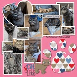 Everyday Enhanced Corner Clusters 2