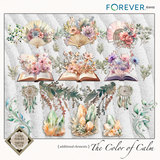 The Color of Calm Bundle