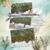 The Color of Calm Bundle