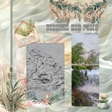 The Color of Calm Bundle