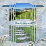 The Color of Calm Bundle