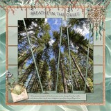 The Color of Calm Bundle