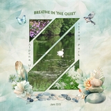 The Color of Calm Bundle