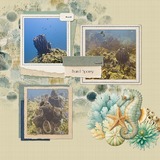 Coastal Wild Bundle