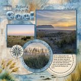 Coastal Wild Paper Bundle