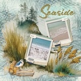 Coastal Wild Paper Bundle