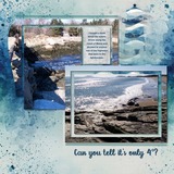 Coastal Wild Paper Bundle