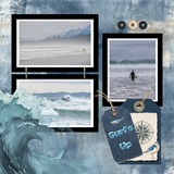 Coastal Wild Paper Bundle