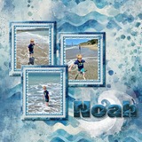 Coastal Wild Paper Bundle