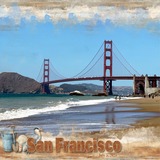 Coastal Wild Paper Bundle