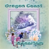 Coastal Wild Paper Bundle