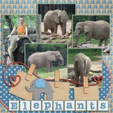 Baby Life Enhanced Photo Clusters