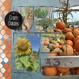 Artist's Toolbox - Falling Feeling Creative Collection