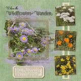 Wire Frames Mega Bundle