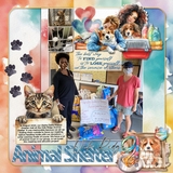 Donate & Volunteer Watercolor Bundle 2