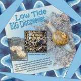 Shibori Tie Dye Papers