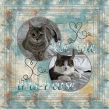 EZ Masks Faded Blends 3