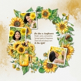 Through the Seasons Wreaths Bundle