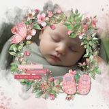 Through the Seasons Wreaths Bundle