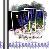 Summery Digital Edges