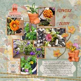 Thrifty Things - A Bit Potty