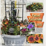 Thrifty Things - A Bit Potty